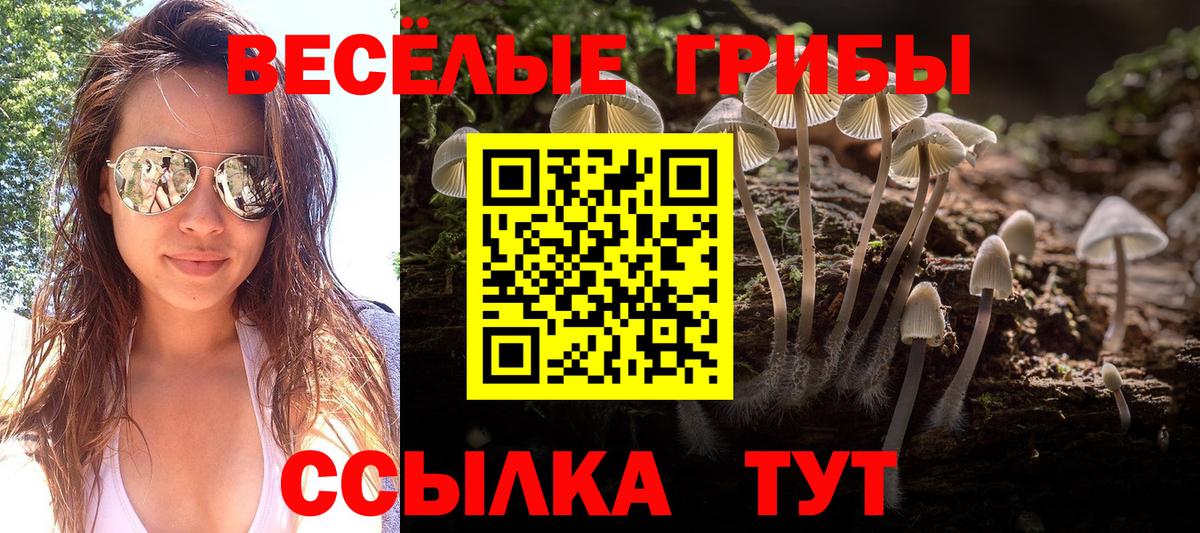Кыштым  Галлюциногенные грибы GOLDEN TEACHER  Вход с VPN 